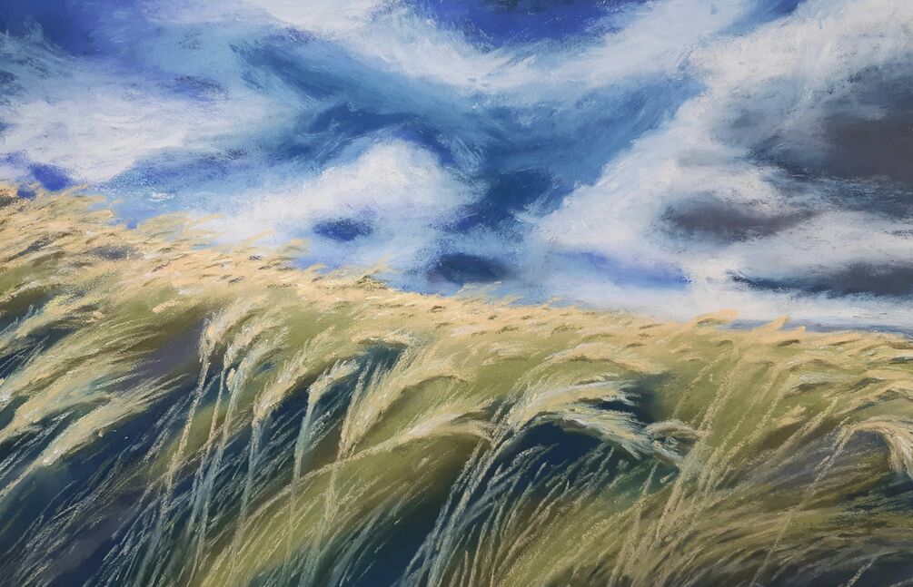 Exposition "Ça bouge !!!"